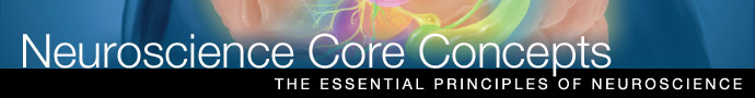 Read more about neuroscience core concepts for the U. S. National Science Education Standards.